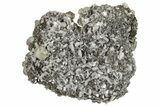 Calcite Crystals on Dolomite and Sparkling Pyrite - New York #251203-1
